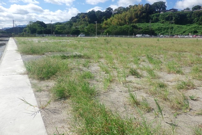 谷山　草刈り前