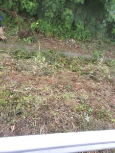 女性パトロール（串木野・伊勢渕地区編）