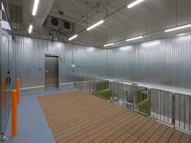 鹿児島市中央卸売市場魚類市場棟新築本体工事（２工区）3