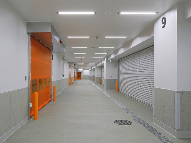 鹿児島市中央卸売市場魚類市場棟新築本体工事（２工区）2